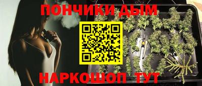 крисы Ирбит