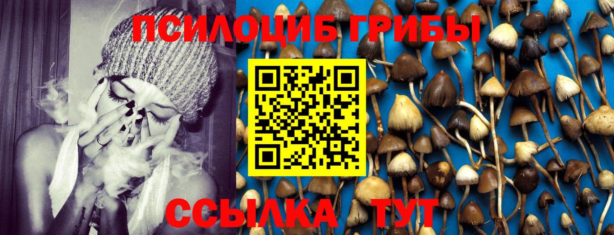 Гусь-Хрустальный  что такое наркотик  Вход с VPN  Псилоцибиновые грибы MAGIC MUSHROOMS  Псилоцибиновые грибы Cubensis 
